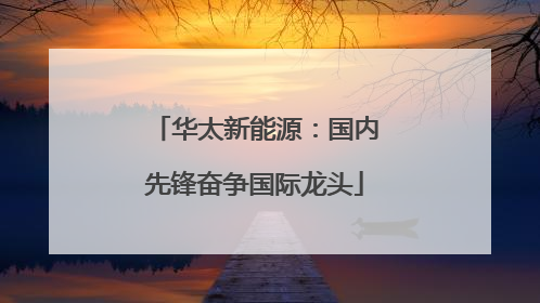 华太新能源：国内先锋奋争国际龙头
