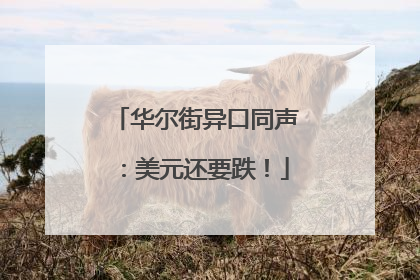 华尔街异口同声：美元还要跌！