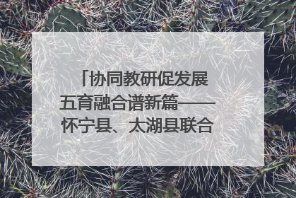 协同教研促发展 五育融合谱新篇——怀宁县、太湖县联合教研活动在月山镇中心学校成功举办
