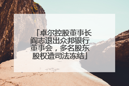 卓尔控股董事长阎志退出众邦银行董事会，多名股东股权遭司法冻结