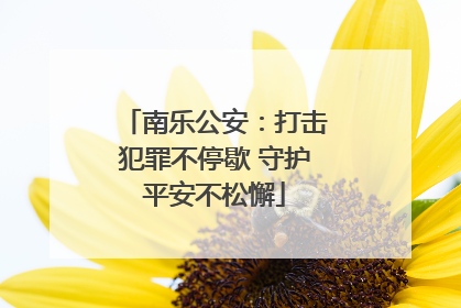 南乐公安：打击犯罪不停歇 守护平安不松懈