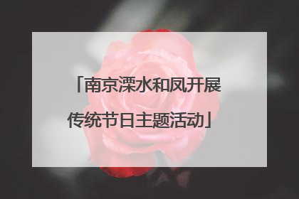 南京溧水和凤开展传统节日主题活动