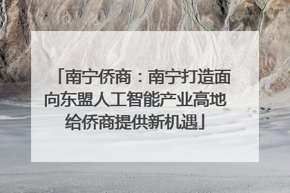 南宁侨商：南宁打造面向东盟人工智能产业高地给侨商提供新机遇