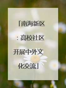 南海新区：高校社区开展中外文化交流