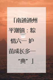 南通通州平潮镇：粽情六一 护苗成长多一“典”
