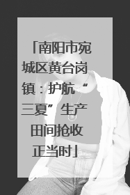 南阳市宛城区黄台岗镇：护航“三夏”生产 田间抢收正当时