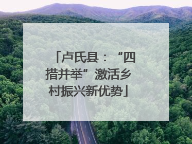卢氏县：“四措并举”激活乡村振兴新优势