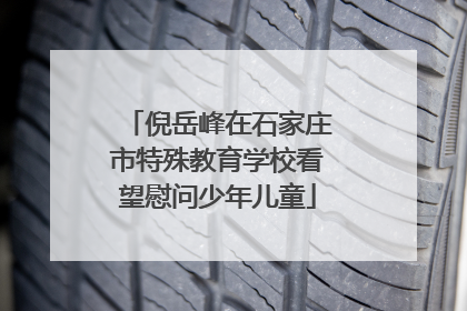 倪岳峰在石家庄市特殊教育学校看望慰问少年儿童