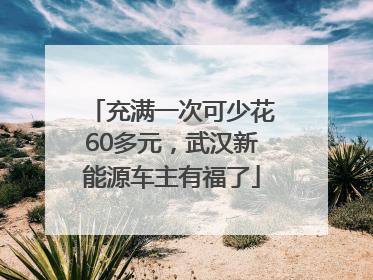 充满一次可少花60多元，武汉新能源车主有福了