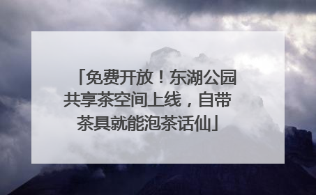 免费开放！东湖公园共享茶空间上线，自带茶具就能泡茶话仙