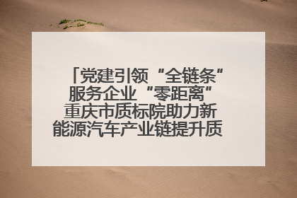 党建引领“全链条” 服务企业“零距离” 重庆市质标院助力新能源汽车产业链提升质量管理水平
