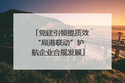 党建引领提质效 “局港联动”护航企业合规发展