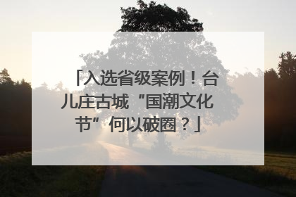 入选省级案例！台儿庄古城“国潮文化节”何以破圈？