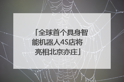 全球首个具身智能机器人4S店将亮相北京亦庄