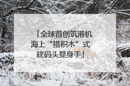 全球首创筑港机海上“搭积木”式建码头显身手