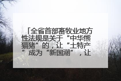 全省首部畜牧业地方性法规是关于“中华熊猫猪”的，让“土特产”成为“新国潮”，让“农产品”升格为“城市IP”
