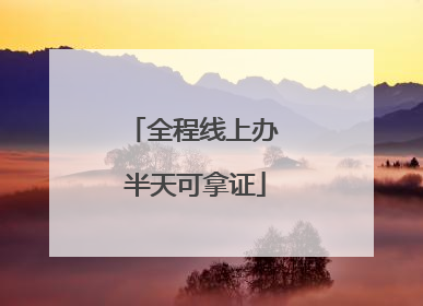 全程线上办 半天可拿证