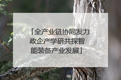 全产业链协同发力 政企产学研共探智能装备产业发展