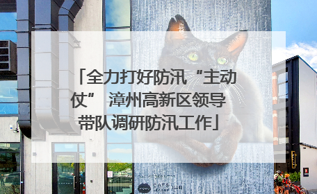 全力打好防汛“主动仗” 漳州高新区领导带队调研防汛工作