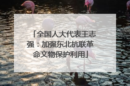 全国人大代表王志强：加强东北抗联革命文物保护利用