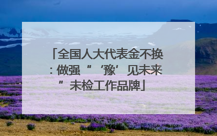 全国人大代表金不换：做强“‘豫’见未来”未检工作品牌