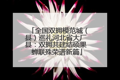 全国双拥模范城（县）巡礼河北省大厂县：双拥共建结硕果 蝉联殊荣谱新篇