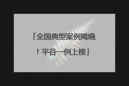 全国典型案例揭晓！平谷一例上榜