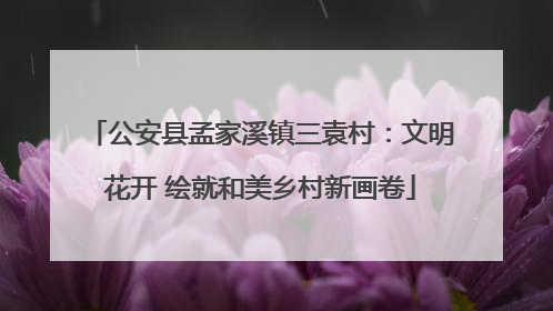 公安县孟家溪镇三袁村：文明花开 绘就和美乡村新画卷
