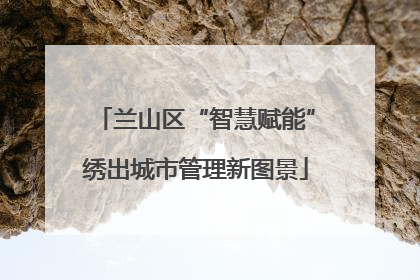 兰山区“智慧赋能”绣出城市管理新图景