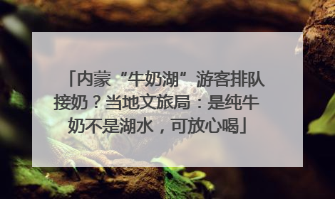 内蒙“牛奶湖”游客排队接奶？当地文旅局：是纯牛奶不是湖水，可放心喝