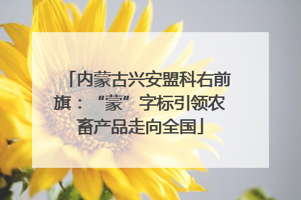 内蒙古兴安盟科右前旗：“蒙”字标引领农畜产品走向全国