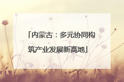 内蒙古：多元协同构筑产业发展新高地