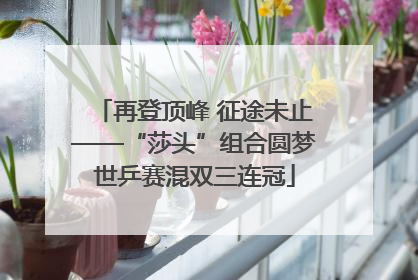 再登顶峰 征途未止——“莎头”组合圆梦世乒赛混双三连冠
