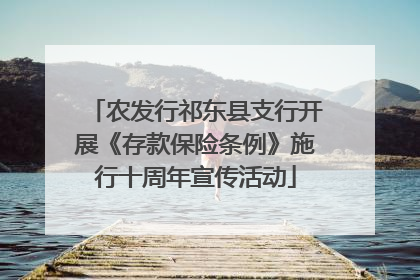 农发行祁东县支行开展《存款保险条例》施行十周年宣传活动