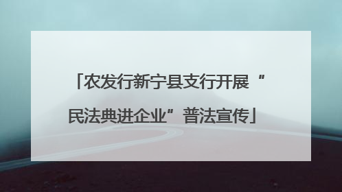 农发行新宁县支行开展“民法典进企业”普法宣传