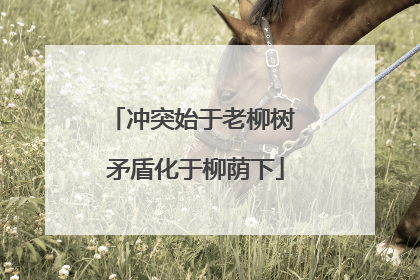 冲突始于老柳树 矛盾化于柳荫下