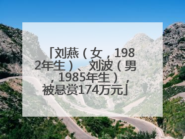 刘燕（女，1982年生）、刘波（男，1985年生），被悬赏174万元