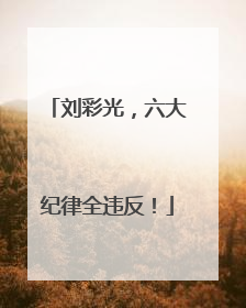 刘彩光，六大纪律全违反！
