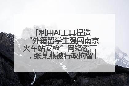 利用AI工具捏造 “外籍留学生强闯南京火车站安检”网络谣言，张某燕被行政拘留