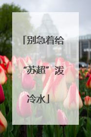 别急着给“苏超”泼冷水