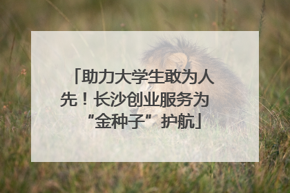 助力大学生敢为人先！长沙创业服务为“金种子”护航