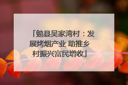 勉县吴家湾村：发展烤烟产业 助推乡村振兴富民增收