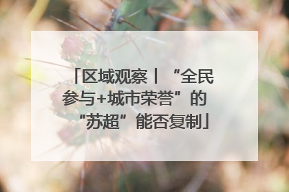 区域观察丨“全民参与+城市荣誉”的“苏超”能否复制