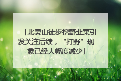北灵山徒步挖野韭菜引发关注后续，“打野”现象已经大幅度减少