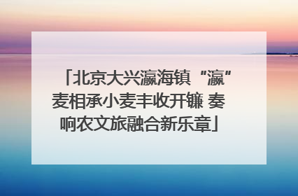 北京大兴瀛海镇“瀛”麦相承小麦丰收开镰 奏响农文旅融合新乐章