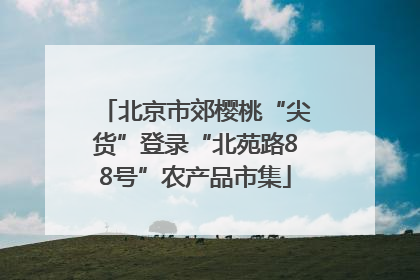 北京市郊樱桃“尖货”登录“北苑路88号”农产品市集