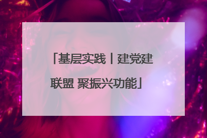 基层实践丨建党建联盟 聚振兴功能