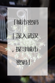 城市密码｜深入武汉，探寻城市密码