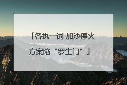 各执一词 加沙停火方案陷“罗生门”