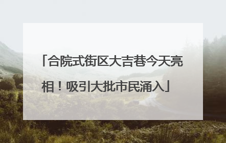 合院式街区大吉巷今天亮相！吸引大批市民涌入
